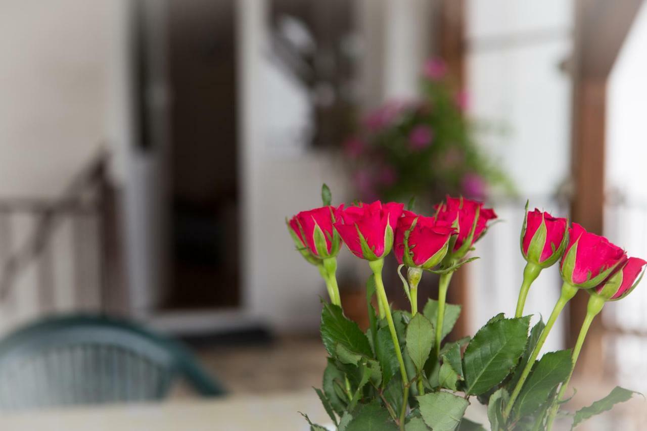 Apartman Antea Otočac Zewnętrze zdjęcie